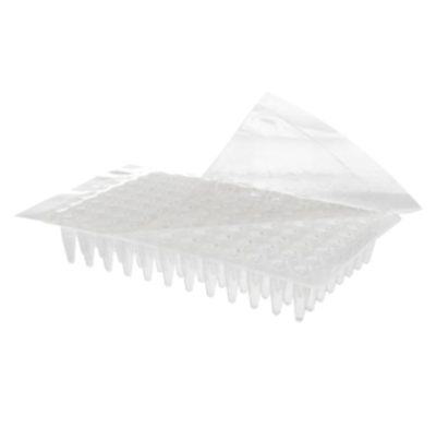 Selo para placa de PCR - Axygen