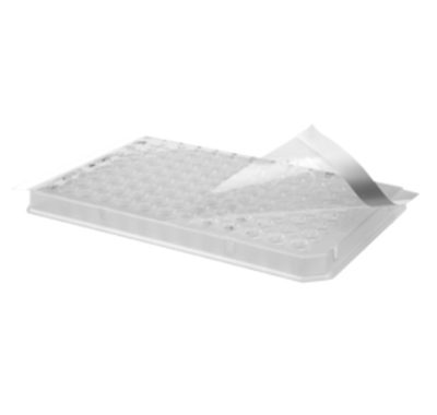 Adesivo para placa de Real Time PCR - Axygen