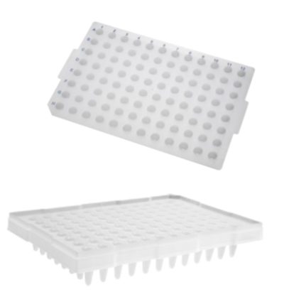 Placa para PCR 96 poços 200 µL (borda alta) - Axygen