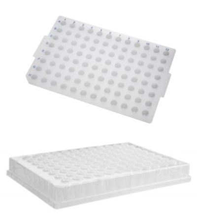 Placa para PCR 96 poços 200 µL (borda inteira) - Axygen