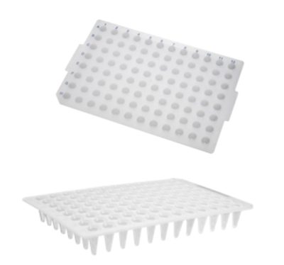 Placa para PCR 96 poços 100 µL (sem borda) - Axygen