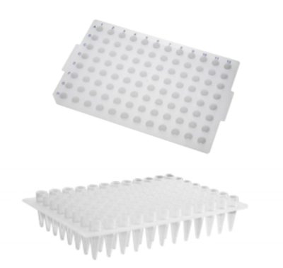 Placa para PCR 96 poços 200 µL (poços elevados) - Axygen