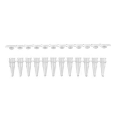Tira de 12 microtubos para PCR de 200 µL - Axygen