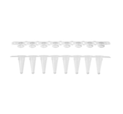 Tira de 8 microtubos para Real Time PCR de 100 µL - Axygen
