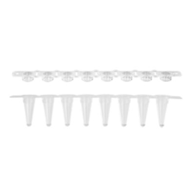 Tira de 8 microtubos para Real Time PCR de 100 µL - Axygen