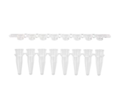 Tira de 8 microtubos para PCR de 200 µL - Axygen