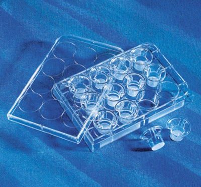 Inserto Transwell 12 mm - Corning