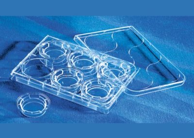 Inserto Transwell 24 mm - Corning