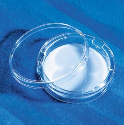 Inserto Transwell 75 mm - Corning