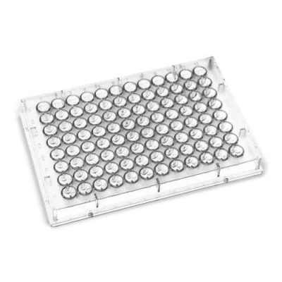 Microplaca de Microtitulação Fundo U, 96 poços- Kasvi - Imagem 2