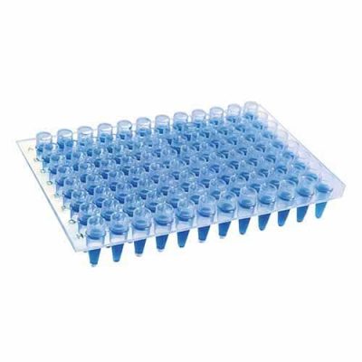 Microplaca de PCR com Poços Elevados (sem borda) - Kasvi