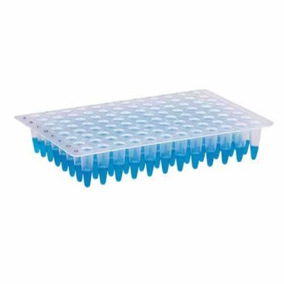 Microplaca de PCR 96 poços (sem borda) - Kasvi