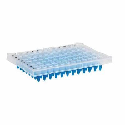 Microplaca de PCR 96 poços (meia borda) - Kasvi