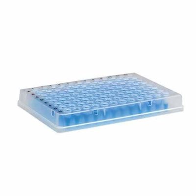 Microplaca de PCR 96 poços (com borda) - Kasvi
