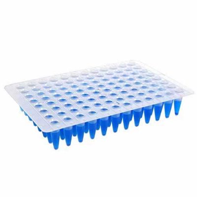 Microplaca qPCR 96 poços (sem borda) Regular Profile - Kasvi