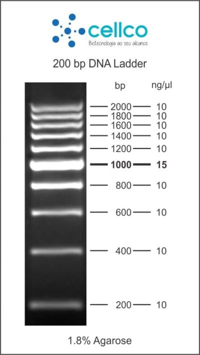 Marcadores de Massa Molecular (DNA ladder) - Cellco - Imagem 4
