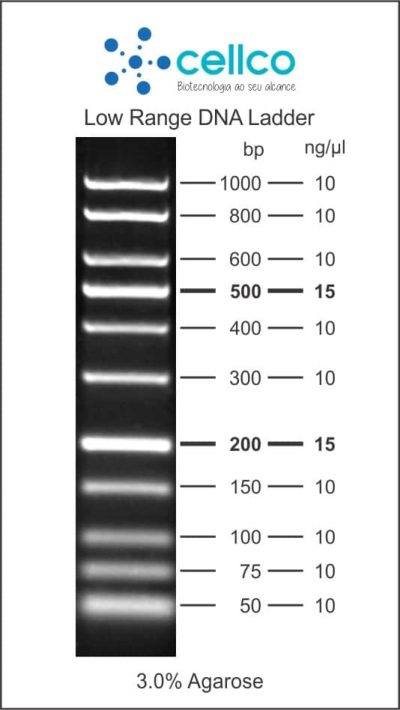 Marcadores de Massa Molecular (DNA ladder) - Cellco - Imagem 8